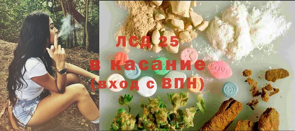 амф Верея