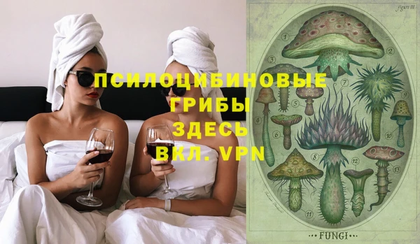 амф Верея