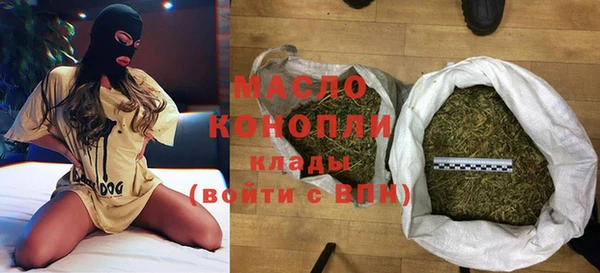 дживик Верхний Тагил