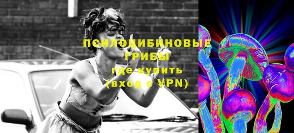 амф Верея