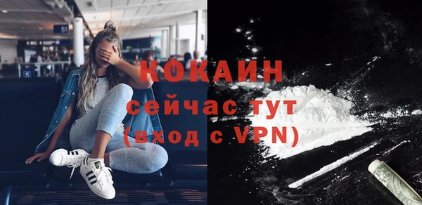 амф Верея