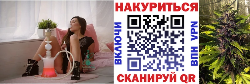 купить наркоту  Выборг  Каннабис SATIVA & INDICA 